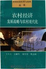 农村经济发展战略与农村现代化   1990  PDF电子版封面  7805381925  王天义等著 