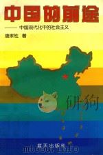 中国的前途  中国现代化中的社会主义   1995  PDF电子版封面  7800816184  唐家柱著 