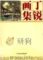 丁锐画集   1998  PDF电子版封面  962823806X  丁锐绘 