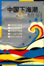 中国下海潮   1993  PDF电子版封面  7800653706  海龙主编 