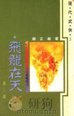 大象文学系列  现代武侠  3  飞龙在天  第3部   1992  PDF电子版封面  9576221951  银正雄著 