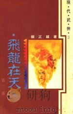 大象文学系列  现代武侠  3  飞龙在天  第2部   1992  PDF电子版封面  9576221943  银正雄著 