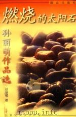 燃烧的太阳石  孙丽萌作品选（1999 PDF版）