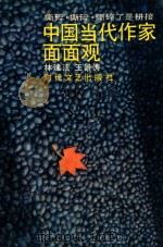 中国当代作家面面观  撕碎，撕碎，撕碎了是拼接   1991  PDF电子版封面  7538703470  林建法，王景涛著 