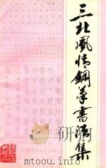 三北风情钢笔书法集   1989  PDF电子版封面    马华林，童心主编 