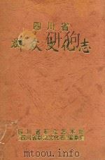 四川省群众文化志（1998 PDF版）