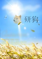 蜀山剑侠新传     PDF电子版封面     