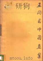 王同君中国画集   1995  PDF电子版封面  7531802961  王同君绘 