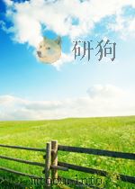 何捷老师的游戏作文风景     PDF电子版封面     