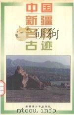 中国新疆名胜古迹   1996  PDF电子版封面  7537123721  周绍祖等编著 