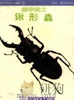 儿童动物常识画册  锹形虫  铁甲武士   1989  PDF电子版封面    张诗经著 