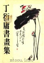 丁衍庸书画集   1981  PDF电子版封面    国泰美术馆 