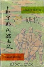嘉定外冈游击队（1996 PDF版）