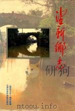 望新乡志（1994 PDF版）