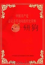 中国共产党嘉定县劳动局组织史资料  1949.5-1993.6（ PDF版）