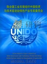联合国工业发展组织中国投资与技术促进处绿色产业专家委员会     PDF电子版封面     