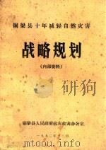 铜梁县十年减轻自然灾害  战略规划（1992 PDF版）