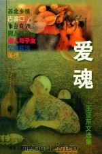 爱魂  王亚东文选集（1999 PDF版）
