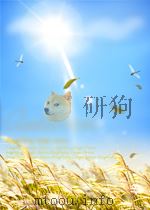 梅花字字香2卷     PDF电子版封面    （元）郭豫亨撰 