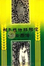 被子植物胚胎学实验图谱   1992  PDF电子版封面    王耀芝 