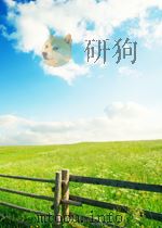 说苑20卷     PDF电子版封面    （汉）刘向撰 