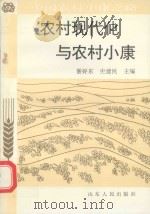 农村现代化与农村小康   1994  PDF电子版封面  7209014055  綦好东，史建民主编 