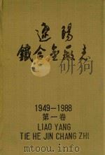 辽阳铁合金厂志（1992 PDF版）