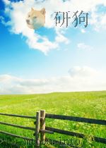中国文化传统的哲学精神     PDF电子版封面     