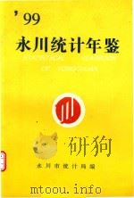99永川统计年鉴     PDF电子版封面    永川市统计局编 