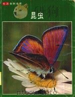 生活自然文库  昆虫   1979  PDF电子版封面    （美）法布著 