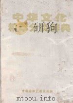 中华文化精萃分类辞典（1998 PDF版）