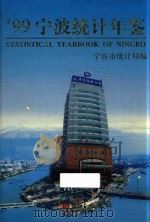 宁波统计年鉴  1999   1999  PDF电子版封面  7503730471  宁波市统计局编 