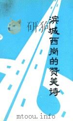 滨城西岗的赞美诗  报告文学集   1994  PDF电子版封面     