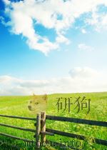南京工程学院王广胜教案     PDF电子版封面    王广胜 
