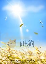 李卓吾先生批评西游记  11     PDF电子版封面    (明)吴承恩撰 