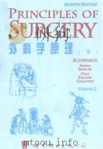 Principles of surgery（1999 PDF版）