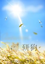 五雷掌医疗保健气功     PDF电子版封面     