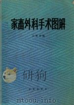 家畜外科手术图解   1984  PDF电子版封面  16144·2723  王强华编著 