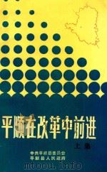 平顺在改革中前进  上   1989  PDF电子版封面    申树森；赵文贤编 