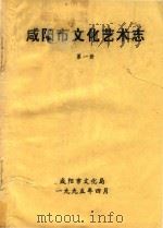 咸阳市文化艺术志  第1册（1995 PDF版）