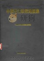 中国出生缺陷地图集（1992 PDF版）