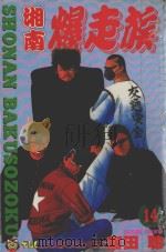 湘南爆走族  14（1995 PDF版）