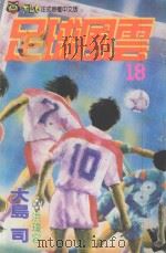 足球风云  18   1994  PDF电子版封面  9573411202  大岛司著；洪琼容译 