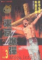 东京爆弹2  第3集   1997  PDF电子版封面  9571010189  矢岛正雄作；はゃせ淳画；柳怡如译 