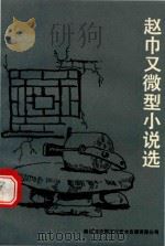 赵巾又微型小说选   1993  PDF电子版封面  96275830314  赵巾又著 