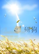 富阳县志  卷4     PDF电子版封面     