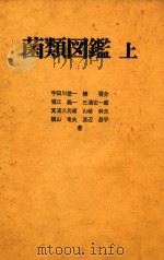 菌类图鉴  上   1978  PDF电子版封面    宇田川俊一等著 