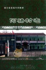 宜城市郑集镇何骆村志  1919-2015（ PDF版）