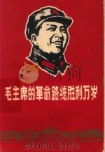 毛主席的革命路线胜利万岁  党内两条路线斗争大事记   1968  PDF电子版封面    南京大学《新南大》报编辑部编印 