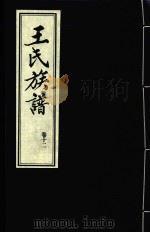 王氏族谱  卷12     PDF电子版封面     